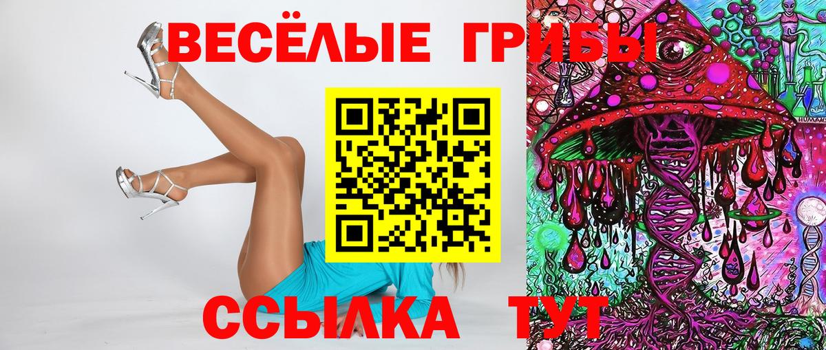 Псилоцибиновые грибы Magic Shrooms  Вход с VPN  Псилоцибиновые грибы мицелий  Курчалой 