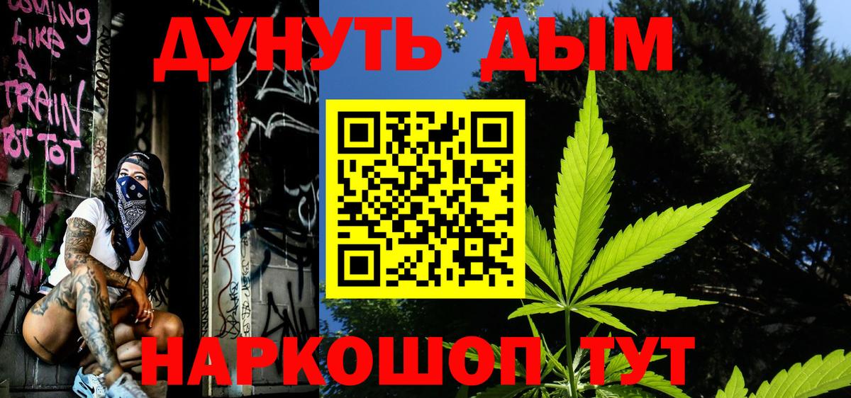 Каннабис ГИДРОПОН  Конопля AK-47  Курчалой  Вход с VPN  Бошки марихуана гибрид 