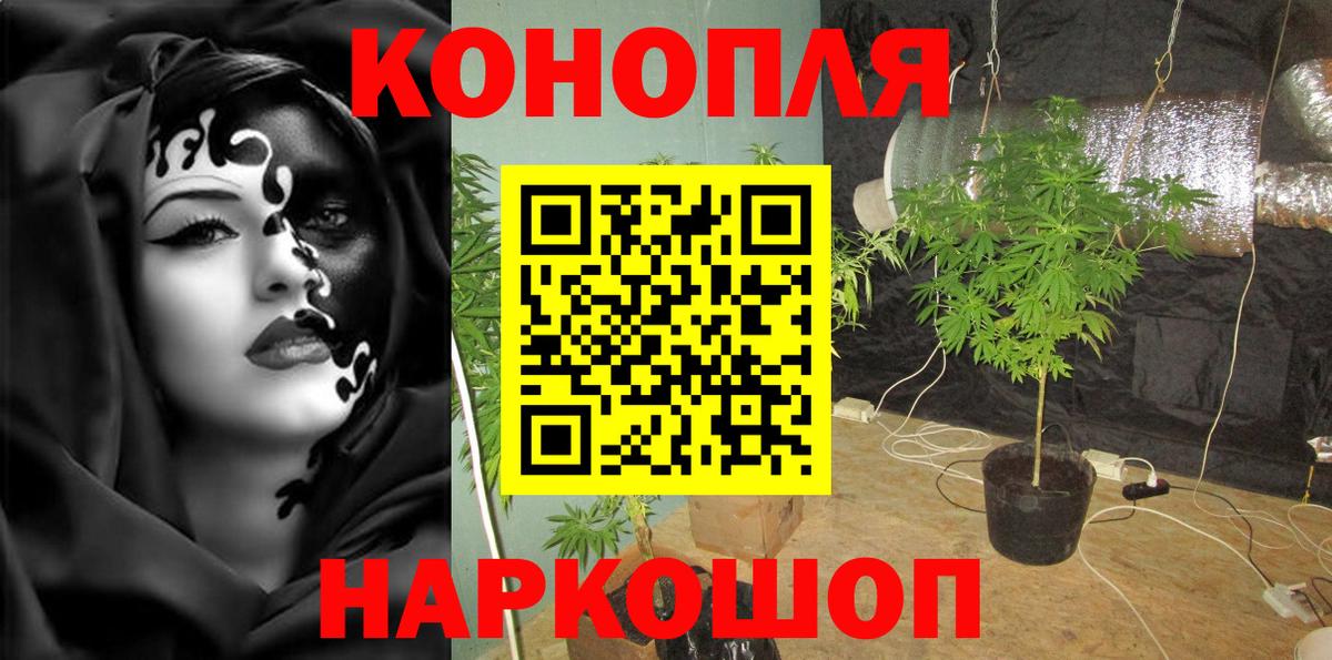 Каннабис план Курчалой